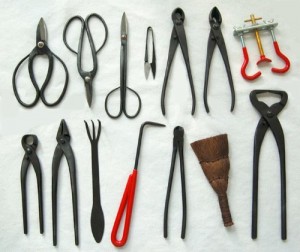 bonsai tools