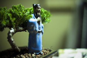 figurine, bonsai accessory